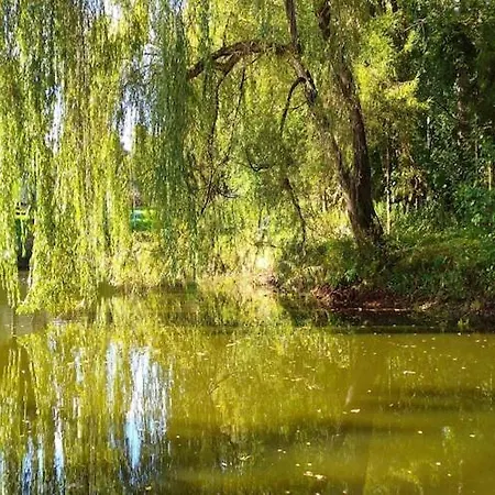 Half Of A Home, Large Garden, Terrace Nyaraló Szymbark