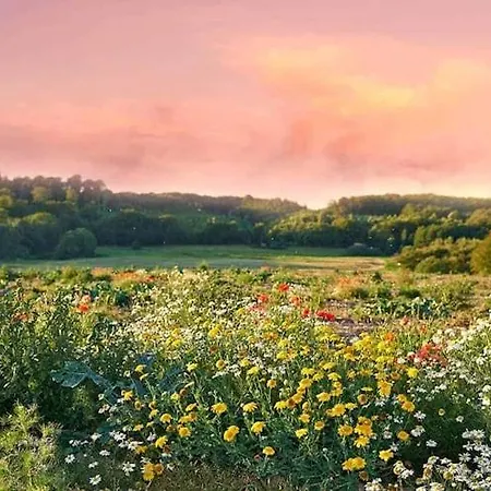 Half Of A Home, Large Garden, Terrace * Szymbark