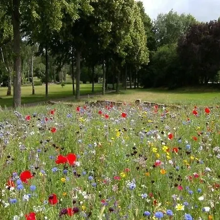 Half Of A Home, Large Garden, Terrace Nyaraló Szymbark