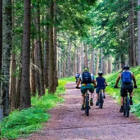 Nyaraló Half Of A Home, Large Garden, Terrace