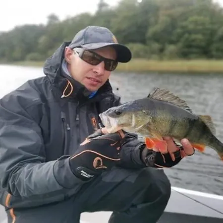 Half Of A Home, Large Garden, Terrace *