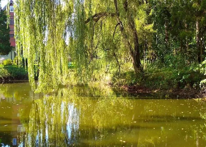 Half Of A Home, Large Garden, Terrace Dom wakacyjny Szymbark (Pomerania)