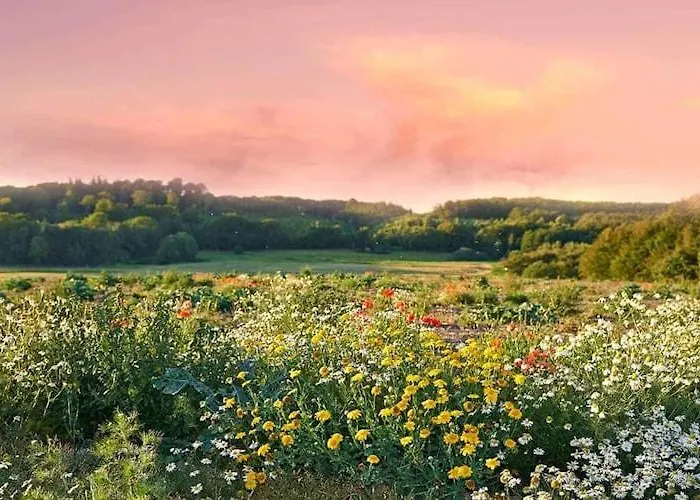 Half Of A Home, Large Garden, Terrace * Szymbark (Pomerania)