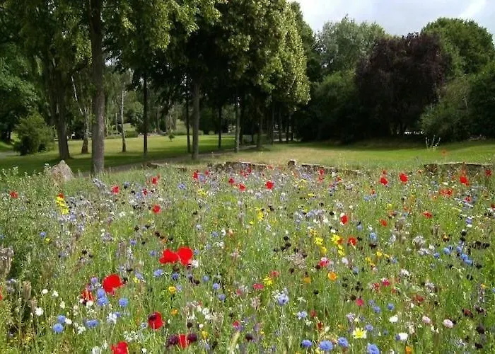 Half Of A Home, Large Garden, Terrace Dom wakacyjny Szymbark (Pomerania)