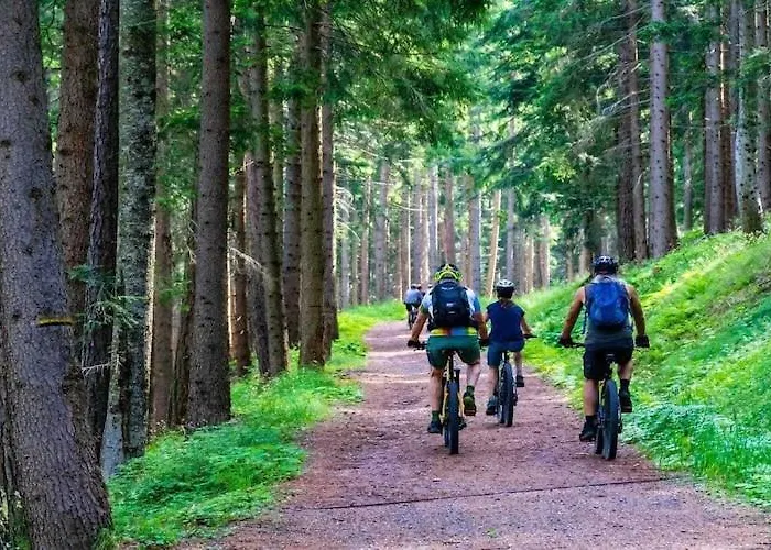 Dom wakacyjny Half Of A Home, Large Garden, Terrace