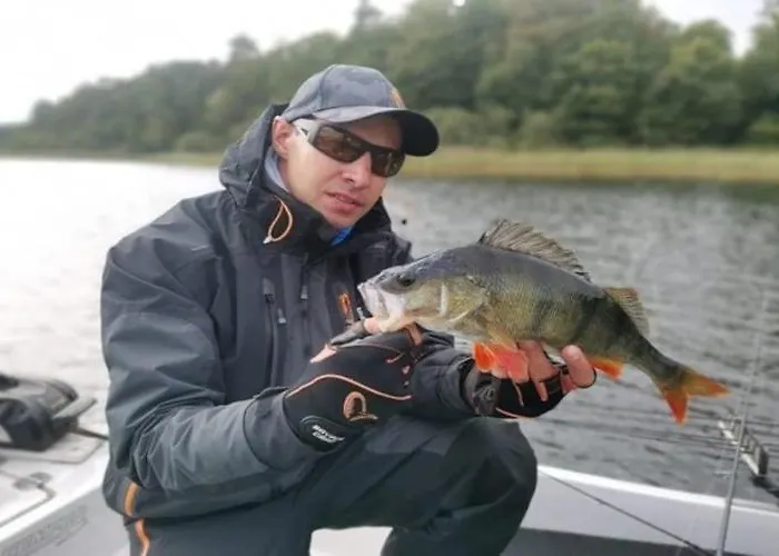 Half Of A Home, Large Garden, Terrace *